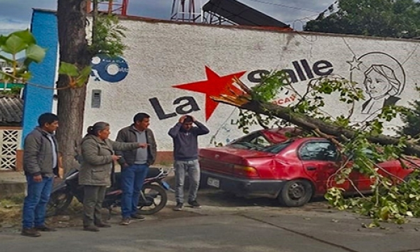 ÁRBOL CAE SOBRE VEHÍCULO ESTACIONADO EN ABANCAY